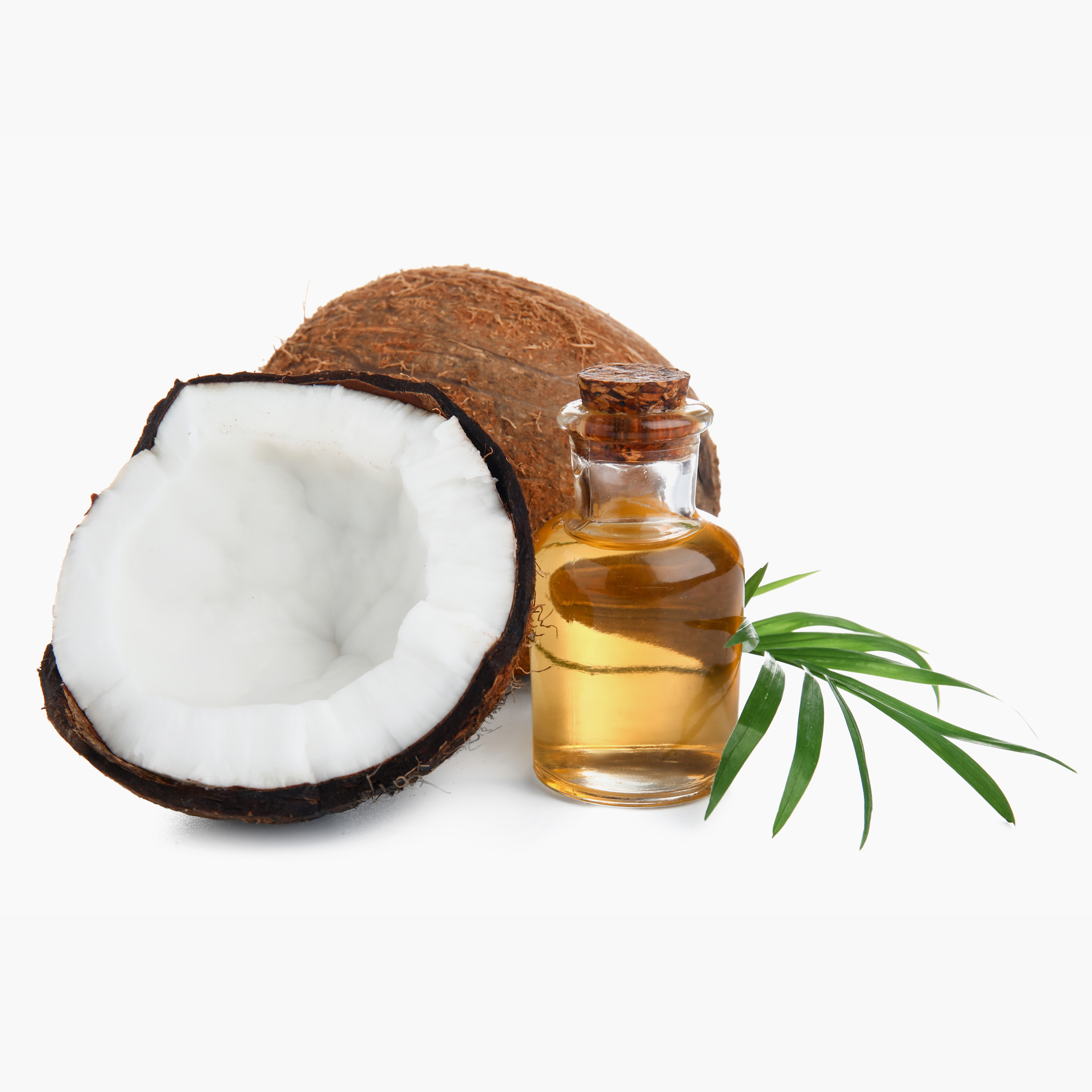 coconut oil
